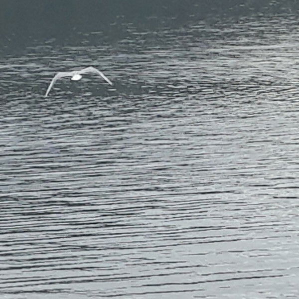 Виталий Буцик