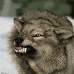 Валера Маринин