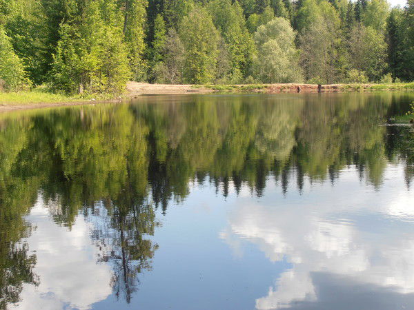 Вадим Кунаков