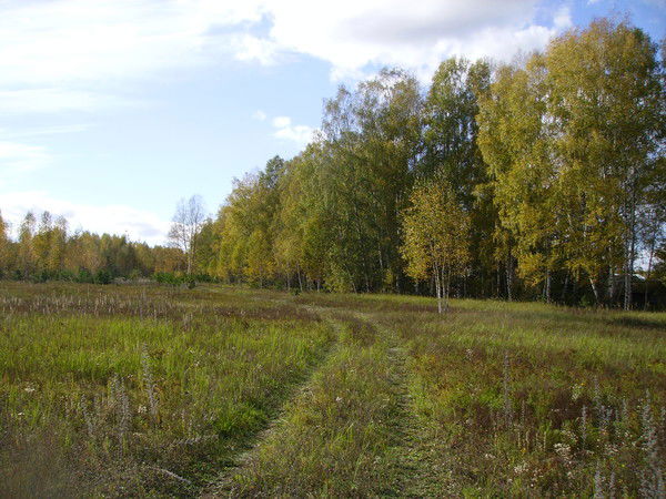 Светлана Золотаева