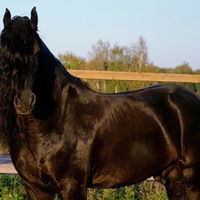 Данис Абдуллин