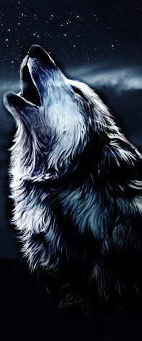 Вадім Шклярук