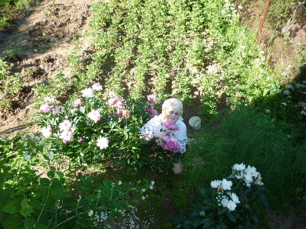 Светлана Михайлова