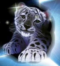 Даяна Байдюк