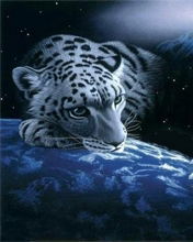 Алексей Барабаш