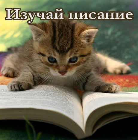 Лилия Короткова