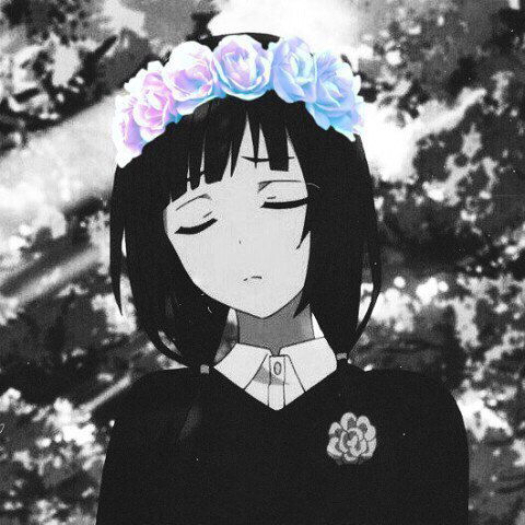 Алиса Коршунова