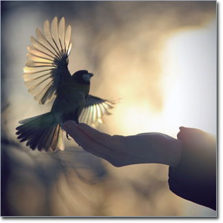 Ольга Кузнецова