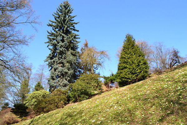 Людмила Костичева