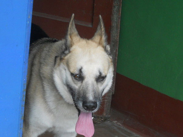 Михаил Максименко