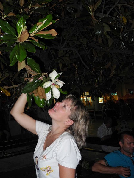 Александра Глухих