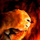 Коламбур ***