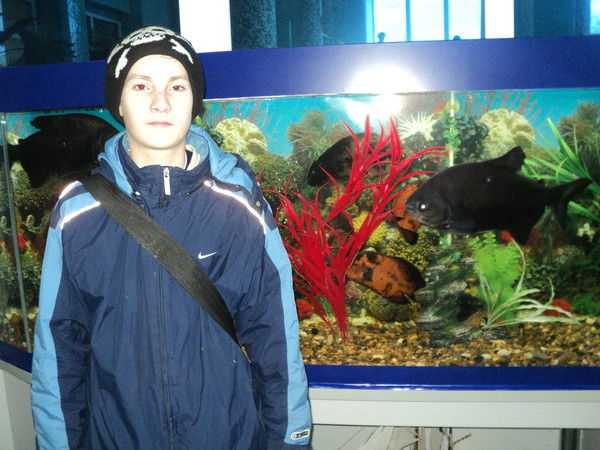 Николай Лизогуб