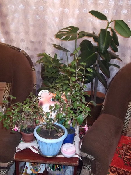 Валентина Обгольц