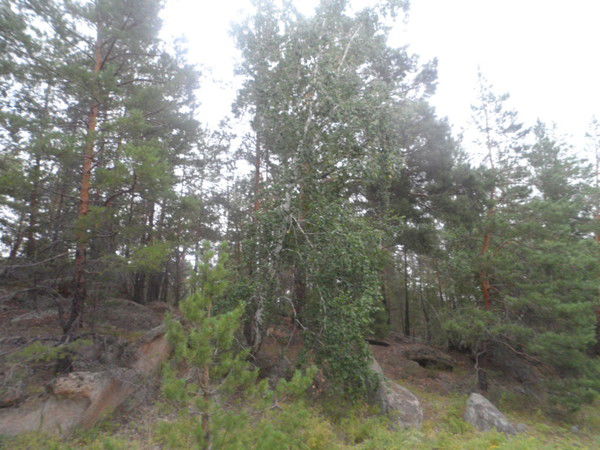 Айнагуль Шагирова