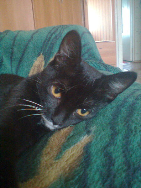 Жека Макаров