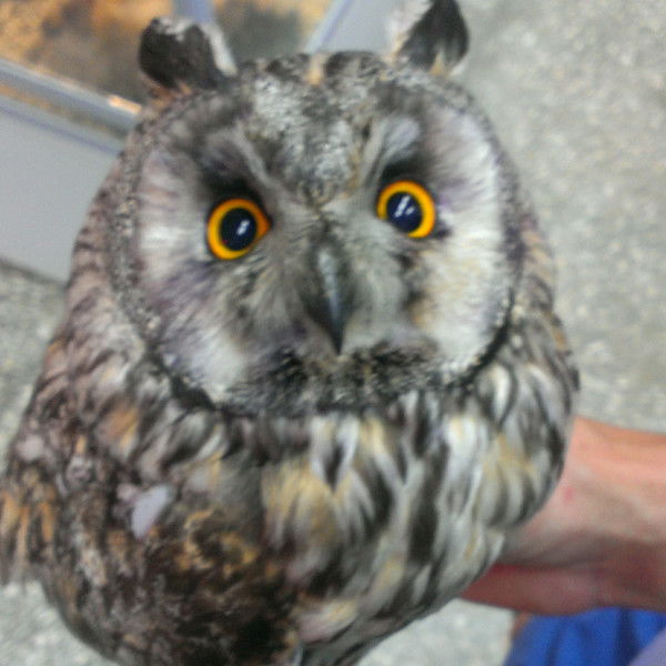 Беднов Вячеслав