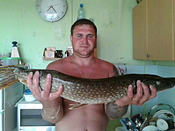 Антон Солоницын