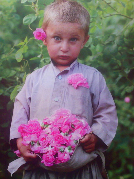 Александр Кукоба