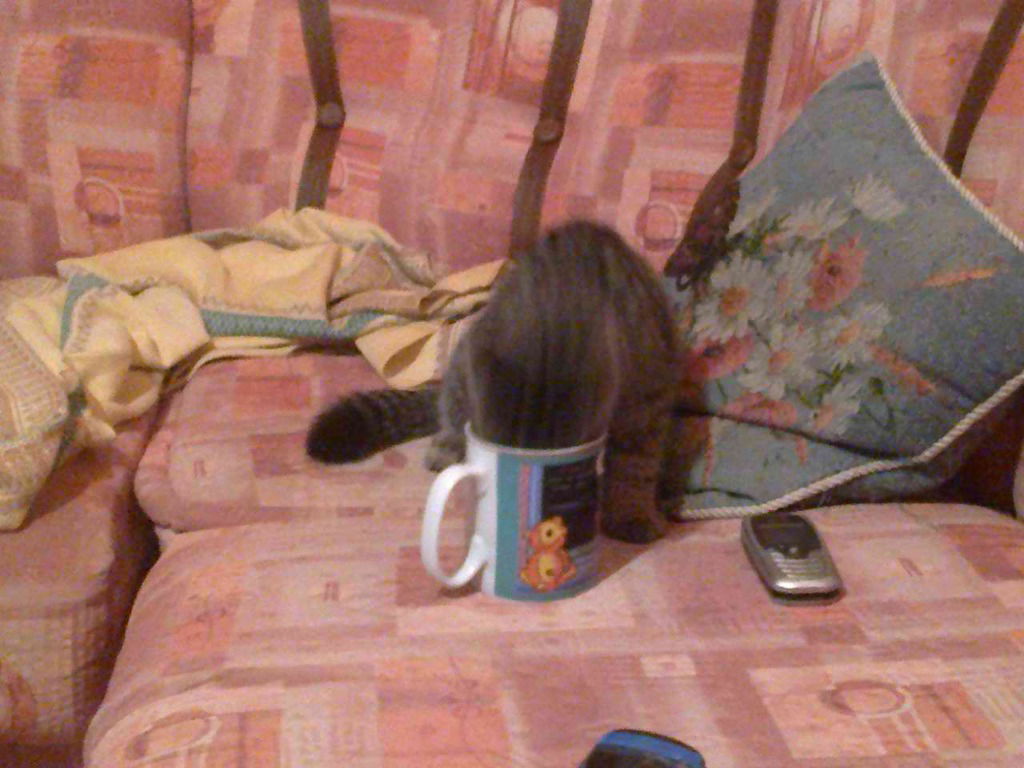 Маклауд Александр