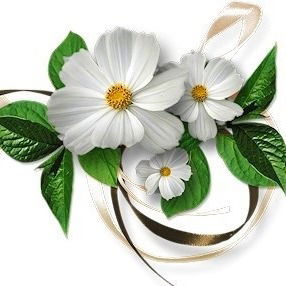 Шура Стоянова