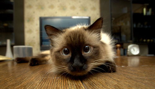 Людмила ***********