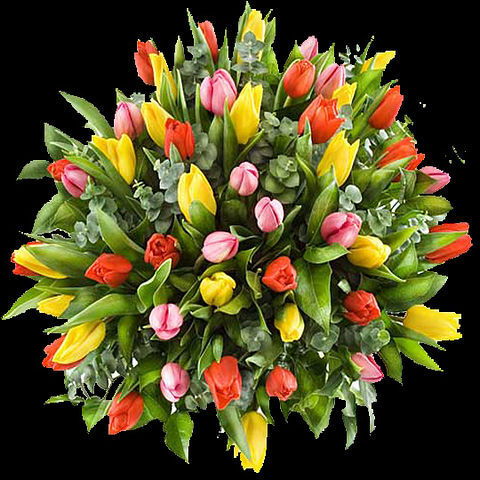 Зульфия Игошина