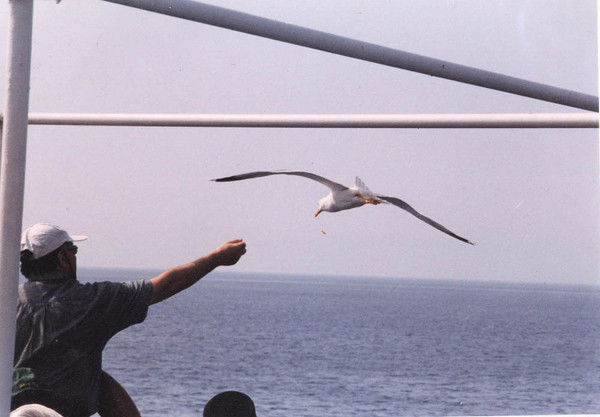 Андрей Третьяк