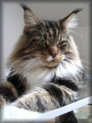 Ольга Маркина