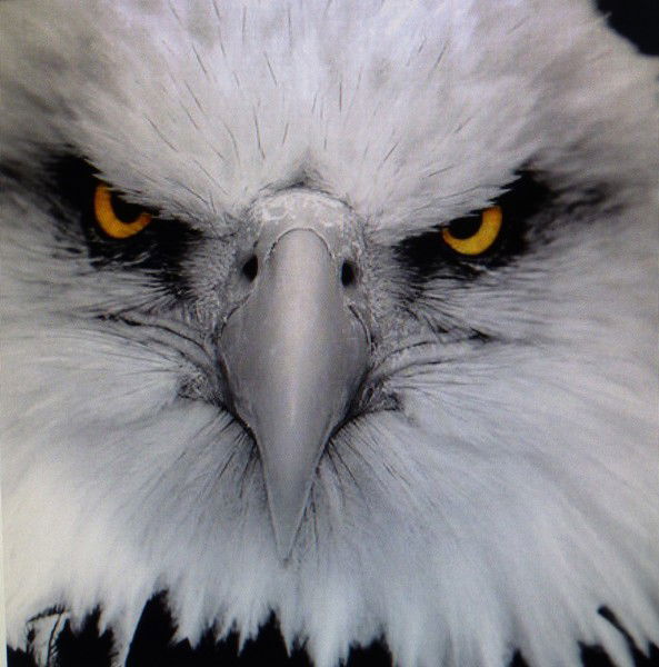 Галимьян Абдрахимов