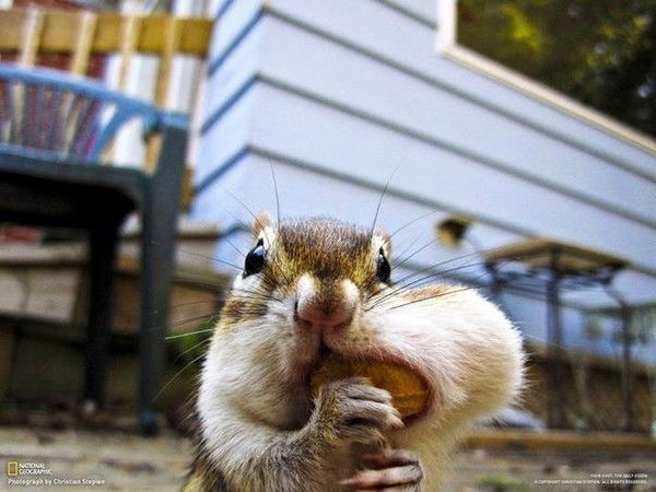 Александр Данько