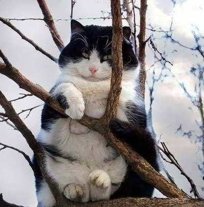 Леонид Радунский