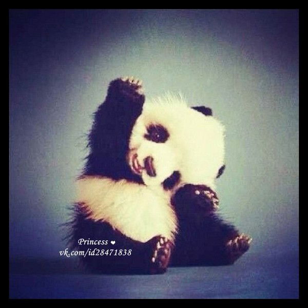 Динара Назырова