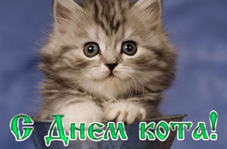 Анастасия Мисюревич