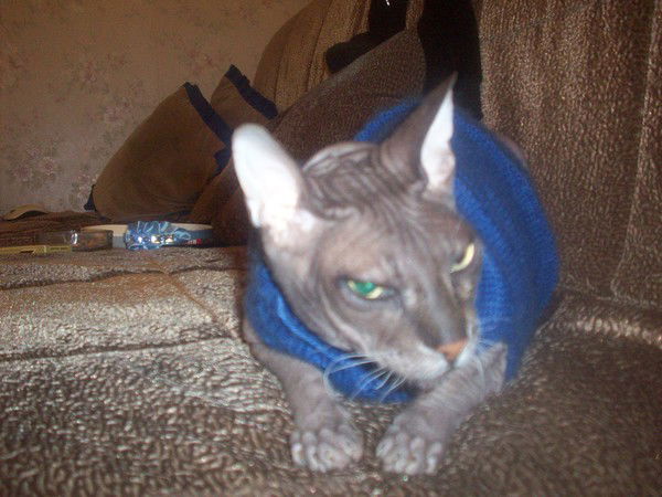 Оксана Тимофеева