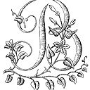 Валерия Лозовская
