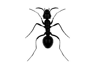 Иван Прудников