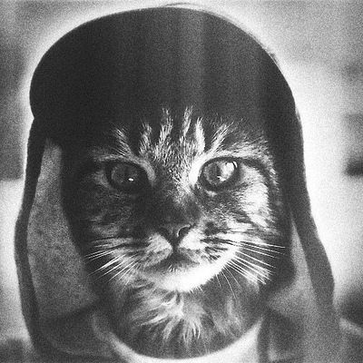 Никита Ененков