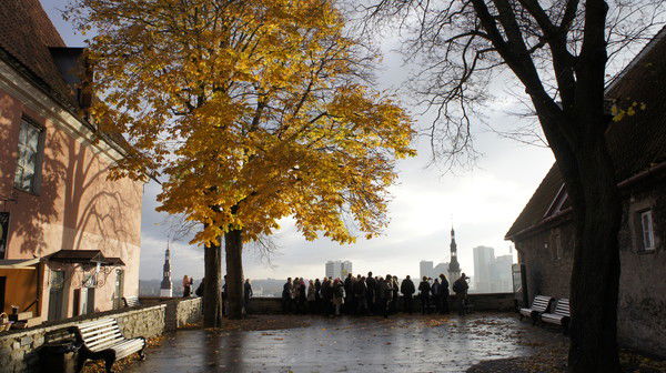 Светлана Королева