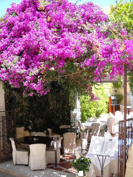 Алла Суфьянова