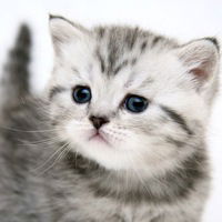 Анастасия Айгишева