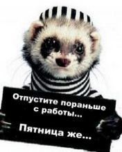 Вадим Спиров