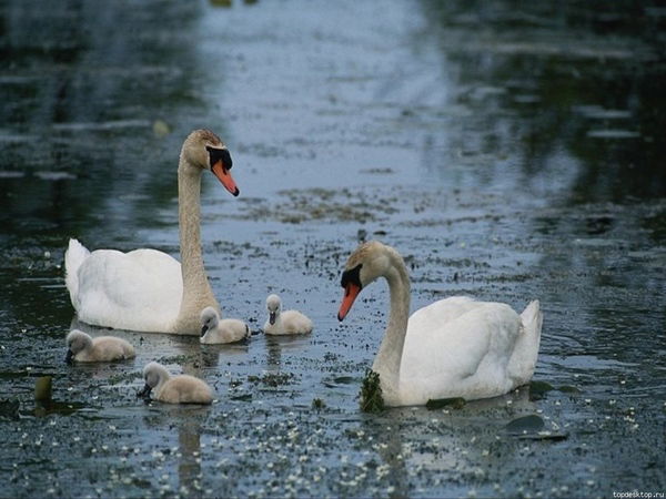 Ульяна Щетинина