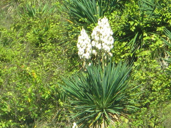 Наталия Климова