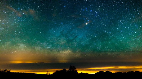 Ксения Свирина