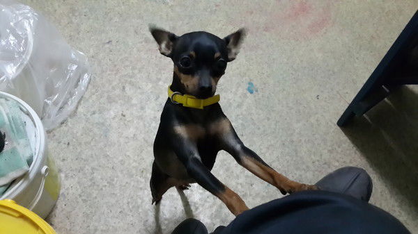 Андрей Демин