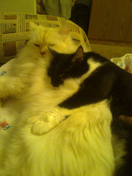 Екатерина Ефименко