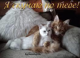 Нушофарин Нурова