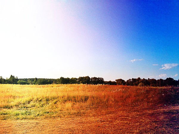 Матихин Михаил