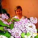 Вера Липунова